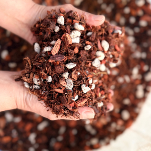 Sustrato Inicio Orquidea