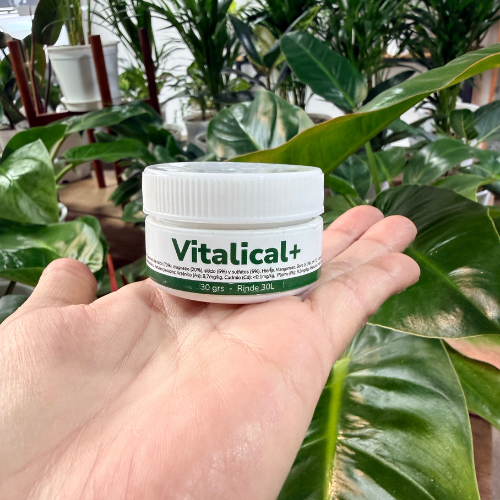 Vitalical 30gr