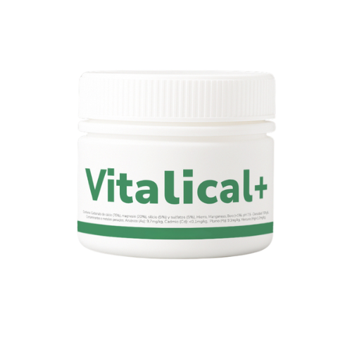 Vitalical 30gr