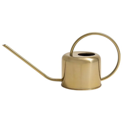 Regadera metalica