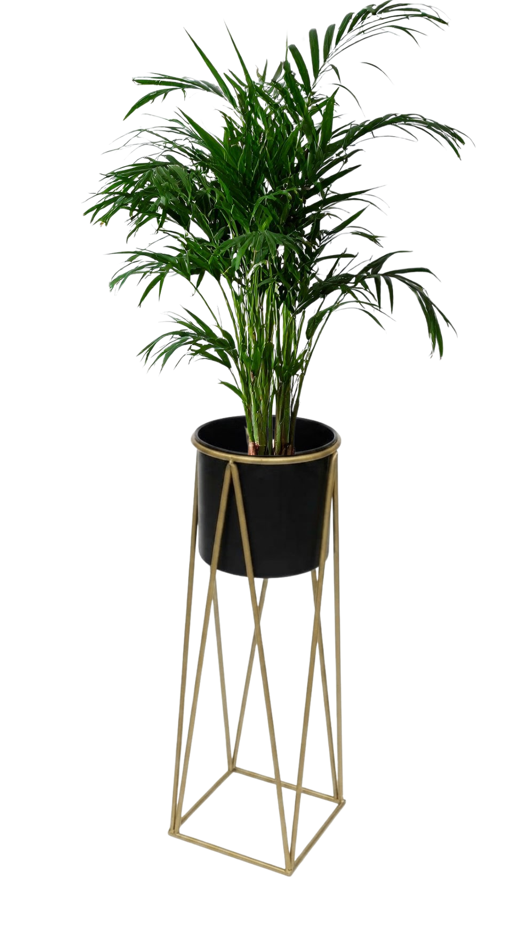 Pedestal