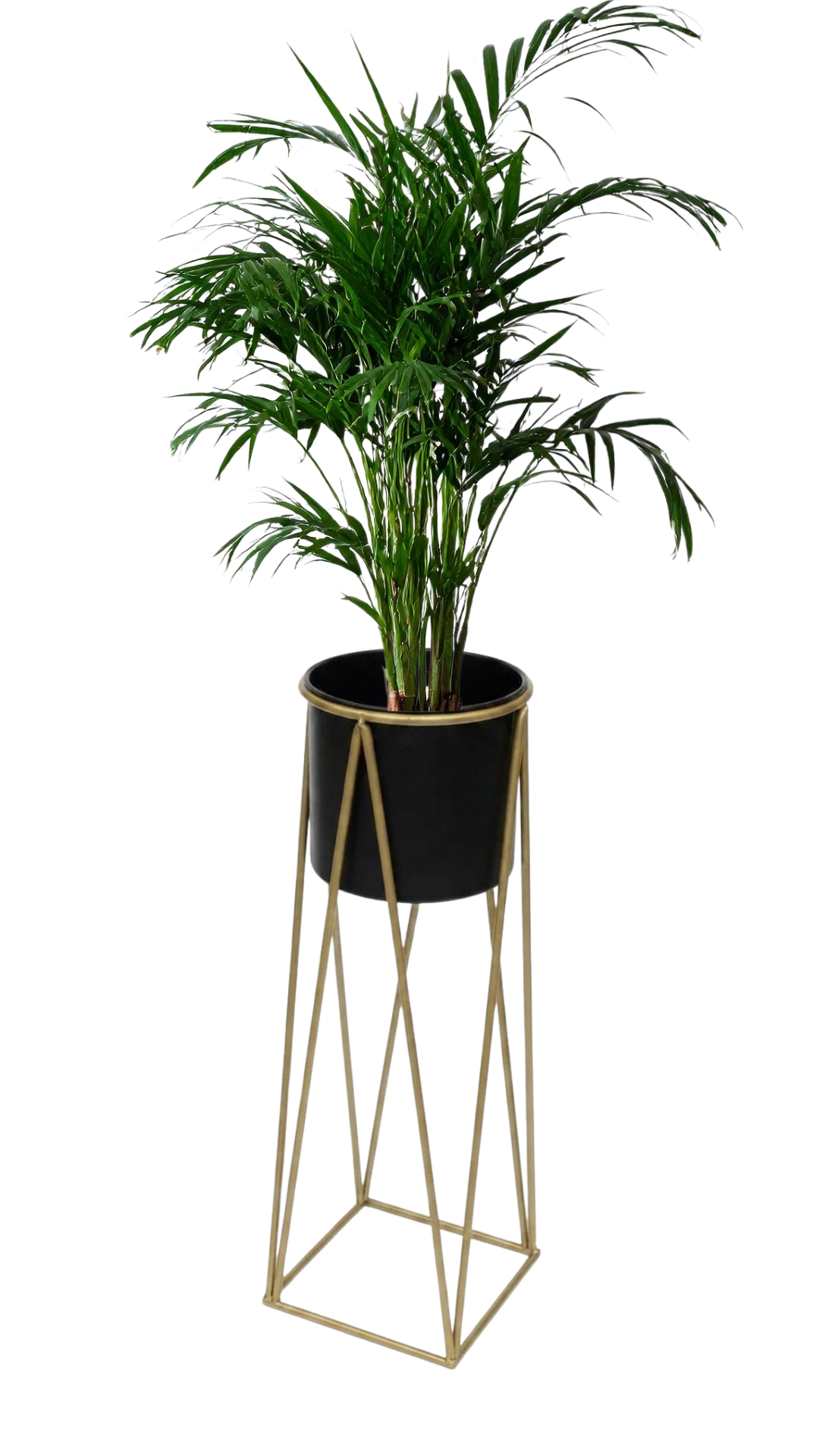 Pedestal
