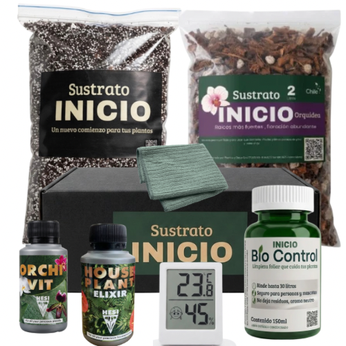 GIFT BOX EDICION