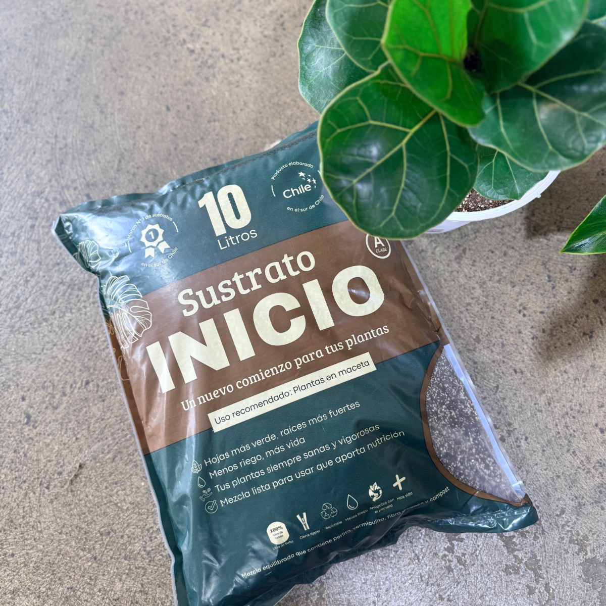 Sustrato INICIO 10 L - Pack de 3 bolsas ENVIO GRATIS +REGALO