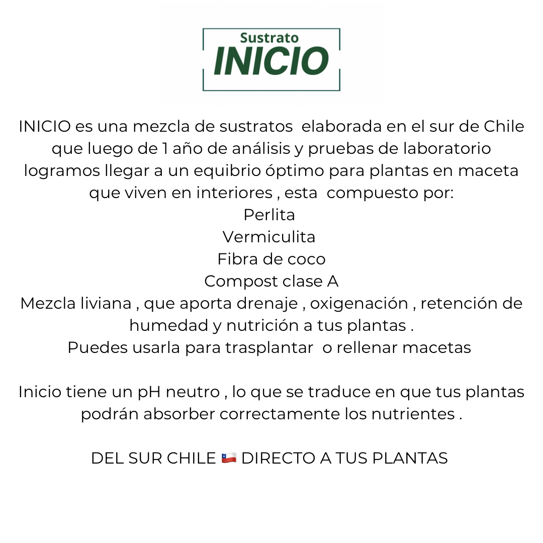 Sustrato Inicio 10 L