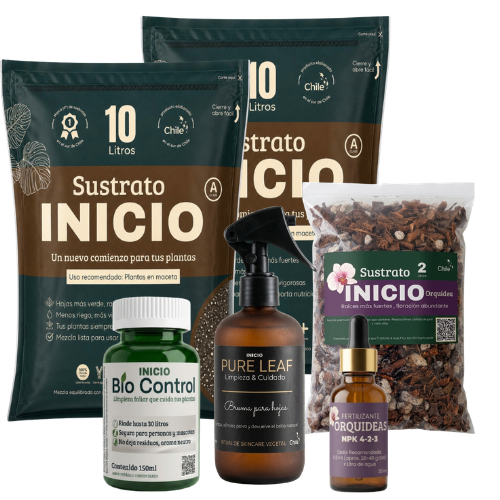 PACK XL ENVIO GRATIS