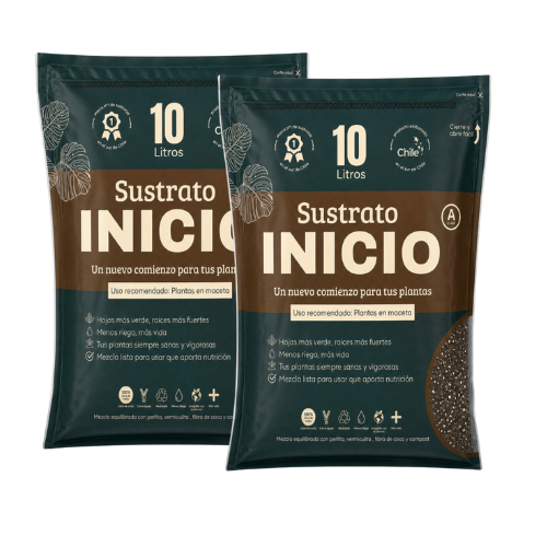 PACK XL ENVIO GRATIS