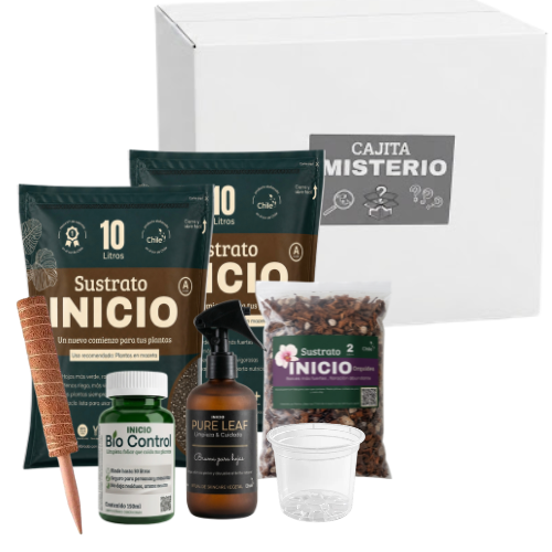 CAJITA MISTERIO con envio por solo $5.500