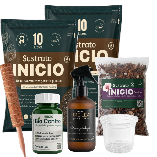 CAJITA MISTERIO con envio por solo $5.500