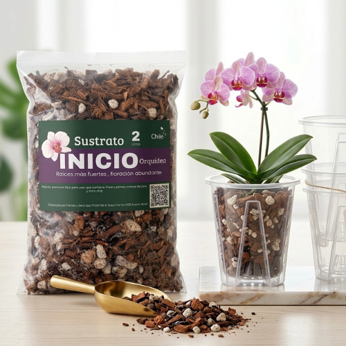 MACETA ORQUIDEA S