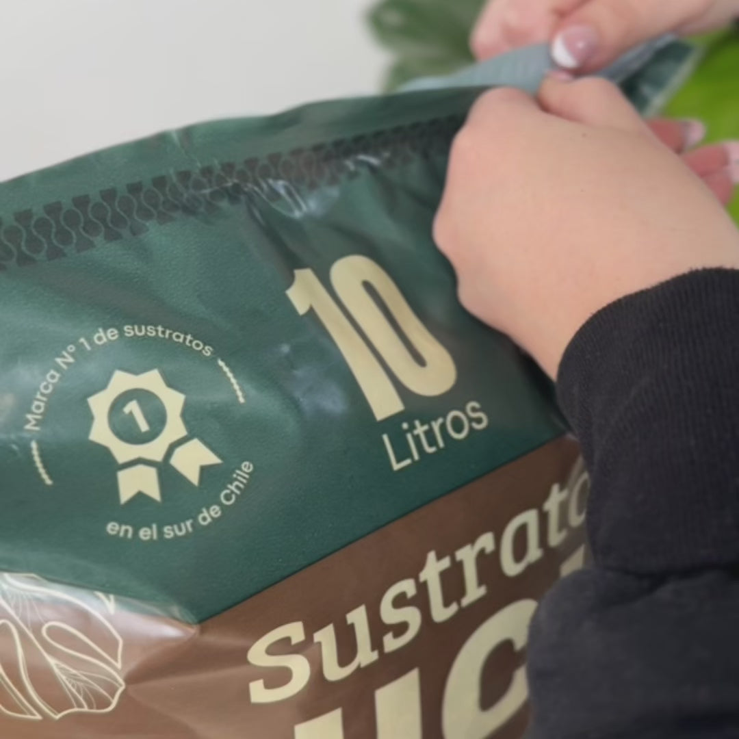Sustrato INICIO 10 L - Pack de 3 bolsas ENVIO GRATIS +REGALO