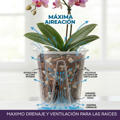 MACETA ORQUIDEA S